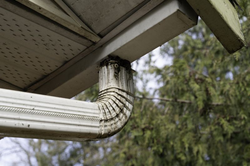 Downspout Blockage Removal in Bergen County, NJ