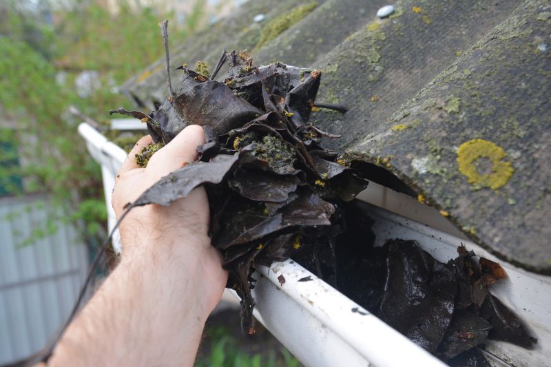 Gutter Leaf Clearing in Westchester County, NY