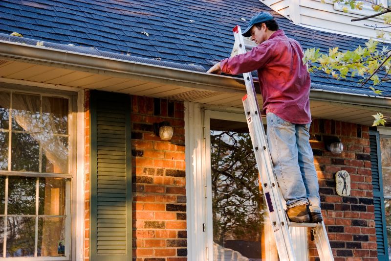 Gutter Maintenance in Baltimore, MD